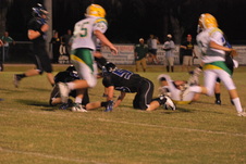 Enlarge photo 45