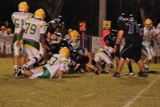 Enlarge photo 57