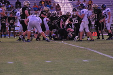 Enlarge photo 71