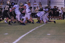 Enlarge photo 137