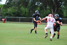 Enlarge photo 40
