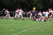 Enlarge photo 51