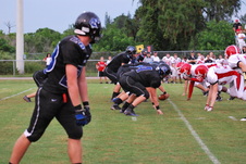 Enlarge photo 65