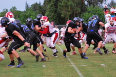 Enlarge photo 63