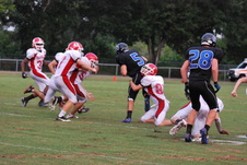 Enlarge photo 67