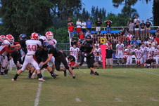 Enlarge photo 118