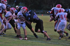 Enlarge photo 133