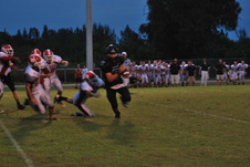 Enlarge photo 137