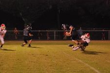Enlarge photo 171