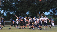 Enlarge photo 42