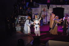 Enlarge photo 131