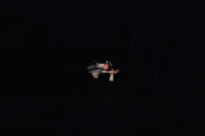 Enlarge photo 1668