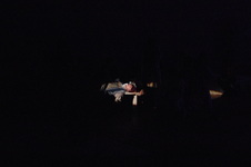 Enlarge photo 1673