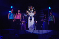 Enlarge photo 761