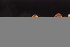 Enlarge photo 129