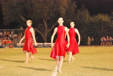Enlarge photo 134