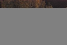 Enlarge photo 136