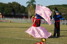 Enlarge photo 343