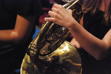 Enlarge photo 281