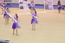 Enlarge photo 61