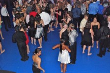 Enlarge photo 335