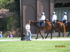 Enlarge photo 75