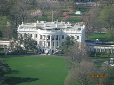 Enlarge photo 84