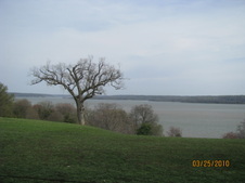 Enlarge photo 95