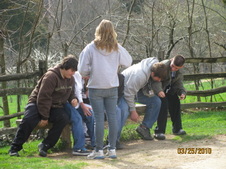Enlarge photo 113