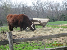 Enlarge photo 122