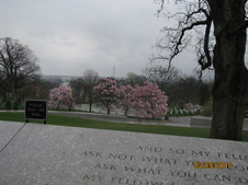 Enlarge photo 148