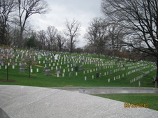 Enlarge photo 152