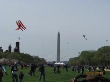 Enlarge photo 214