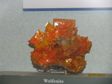 Enlarge photo 219