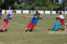 Enlarge photo 919