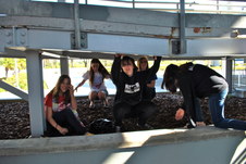Enlarge photo 27