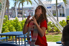 Enlarge photo 70