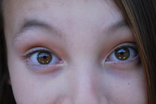 Enlarge photo 179