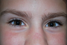Enlarge photo 184
