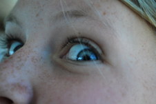 Enlarge photo 203