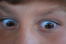 Enlarge photo 205