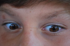 Enlarge photo 206