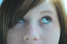 Enlarge photo 220