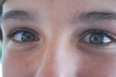 Enlarge photo 229