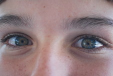 Enlarge photo 230