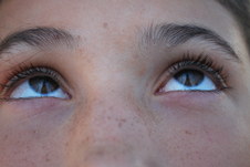 Enlarge photo 258