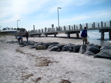 Enlarge photo 40