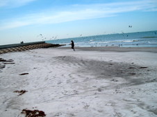 Enlarge photo 43