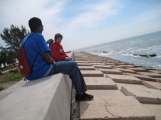Enlarge photo 59