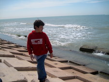Enlarge photo 61